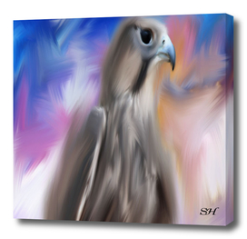 abstract falcon bird