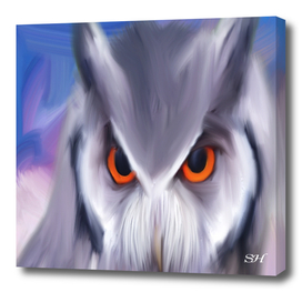 Owl digital painting
