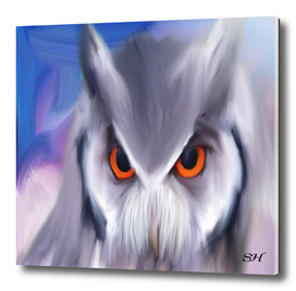 Owl digital painting