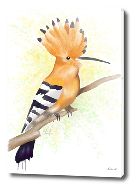 Watercolor Hoopoe Bird