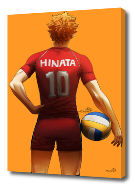 Hinata Shouyou player