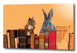 old books squirrel bunny rabbit