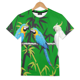 Bamboo Macaw Parrots Bird