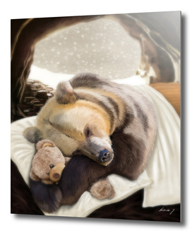 Sweet dreams Mr Bear