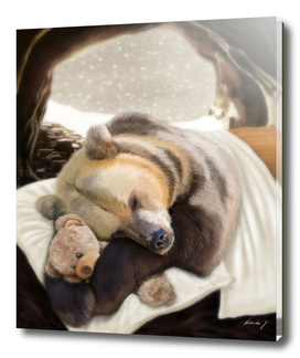 Sweet dreams Mr Bear