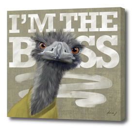 I'm the Boss! Ostrich