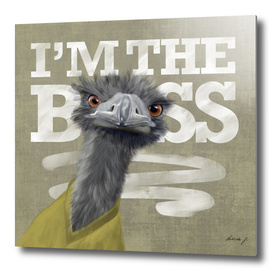 I'm the Boss! Ostrich