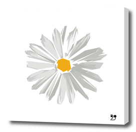 Daisy flower minimal white cute