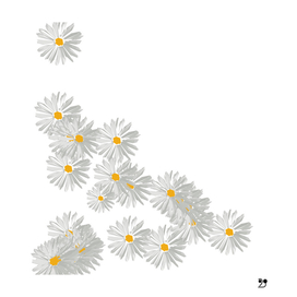 Flower daisy white minimal pattern