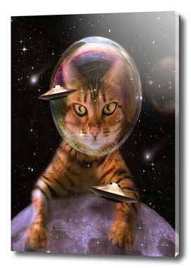 Fabulous Space Cat