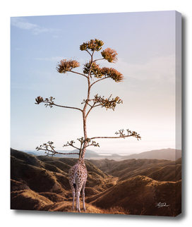 Treeraffe (tree + giraffe)