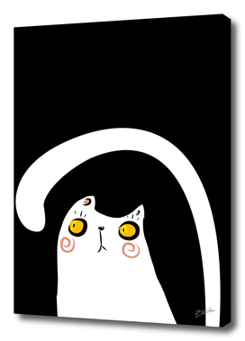 Dark Night White Cat