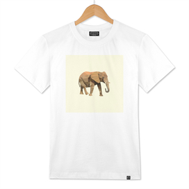 Abstract-Elephant