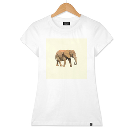 Abstract-Elephant