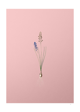 Vintage Autumn Squill Botanical on Pink