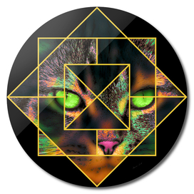 Unique Interlocking Diamond Pop Art Pet Cat