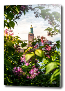 Stockholm City Hall in Summer Greens