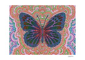 Butterfly Drawing Meditation