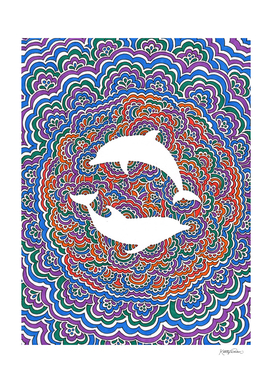 Dolphin Drawing Meditation