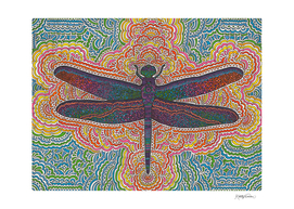 Dragonfly Drawing Meditation
