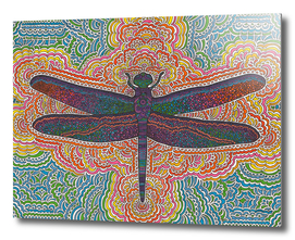 Dragonfly Drawing Meditation