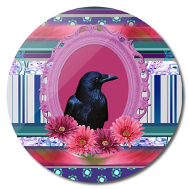 Black Raven in Pink Frame