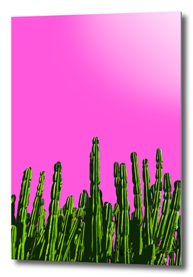 Cactus de Barragán