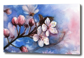 Cherry Blossom Watercolor