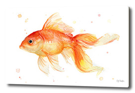 Goldfish Watercolor