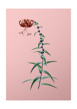 Vintage Tiger Lily 2 Botanical on Pink