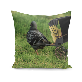 Pedicab Pigeon