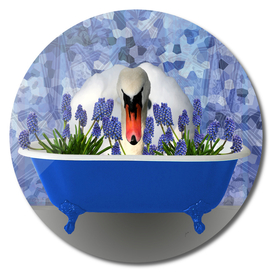 Swan Bathtub Hyacinth Flowers