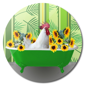 Green Bathtub chicken Sunflower