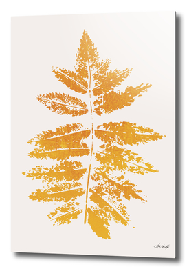 Oak Leaf Print