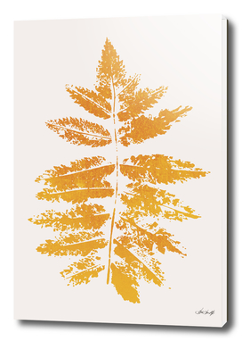 Oak Leaf Print
