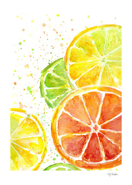 Juicy Citrus Watercolor
