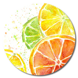 Juicy Citrus Watercolor
