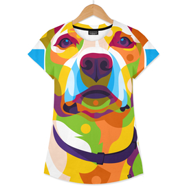 The Colorful Pitbull Retriever Dog