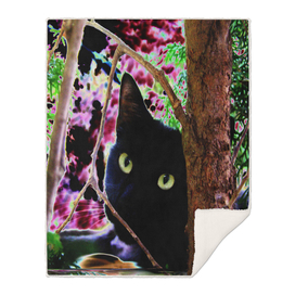 Black Cat in Tree