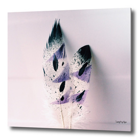 Spring Lavender Feathers