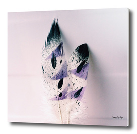 Spring Lavender Feathers