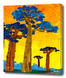 Big baobabs