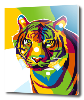 The Colorful Tiger Face