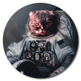 Cat astronaut