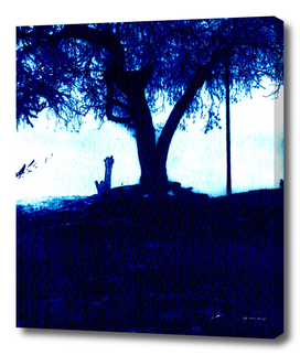 Blue and lonely tree