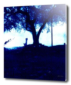 Blue and lonely tree