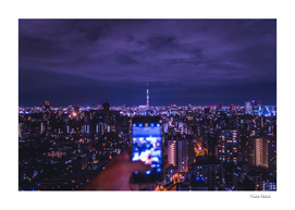Purple Night in Tokyo  - POV