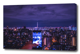 Purple Night in Tokyo  - POV