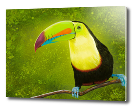 Tropical Jungle Toucan Bird