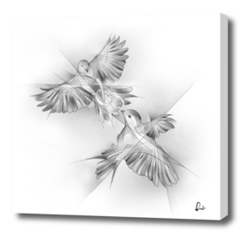 Silver Lovebirds